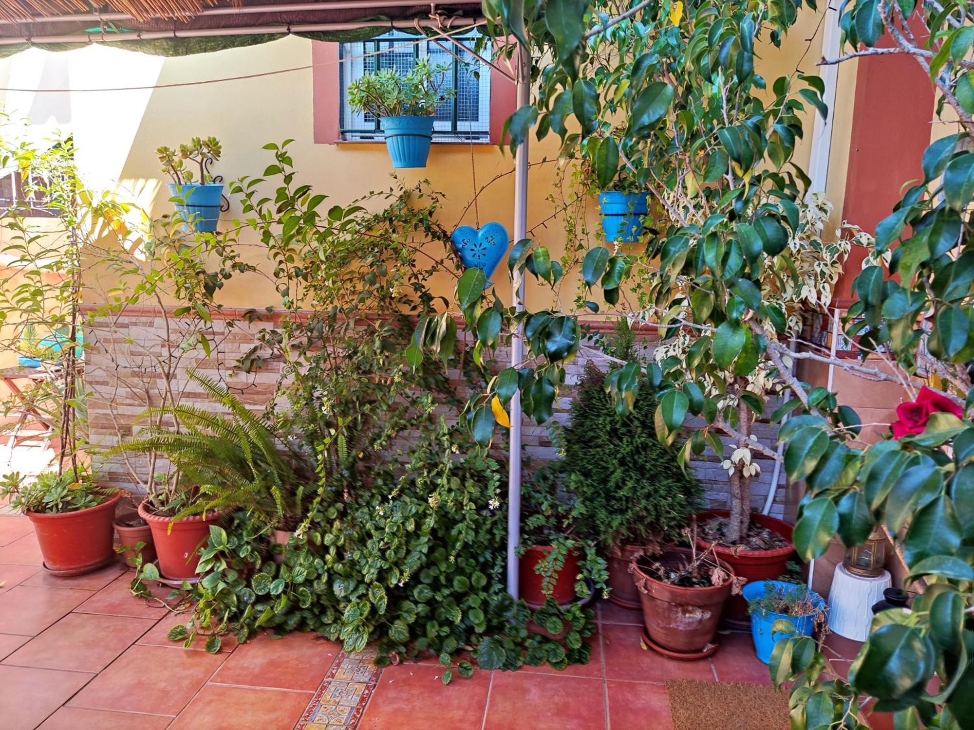 Apartamento Cool Garden Майрена-дель-Альхарафе Экстерьер фото