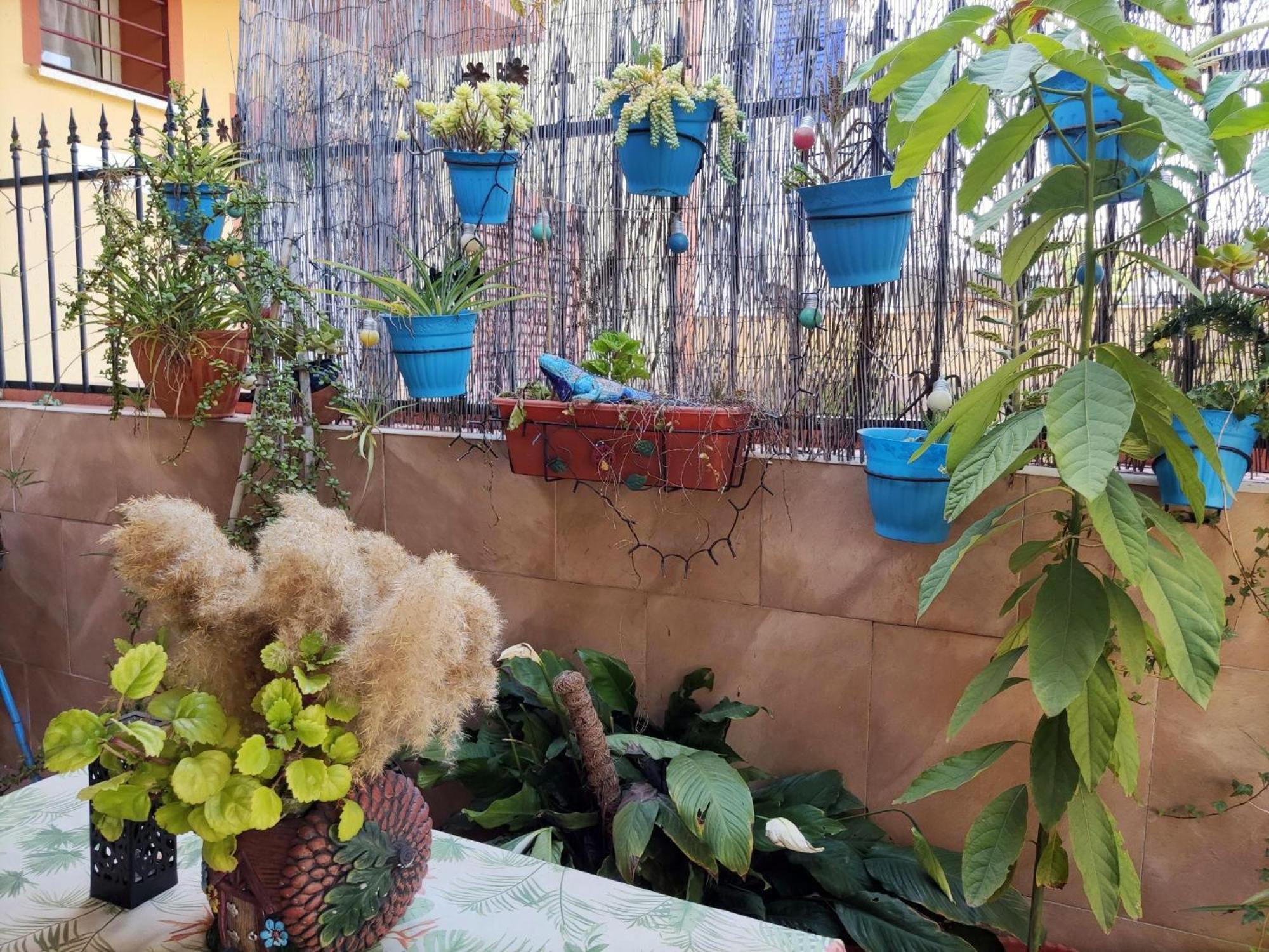 Apartamento Cool Garden Майрена-дель-Альхарафе Экстерьер фото